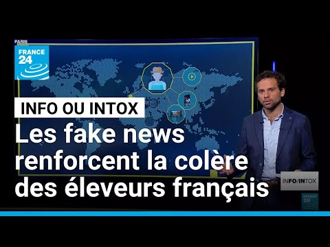 Une crise agricole en question : les éleveurs refusent le dépeuplement systématique